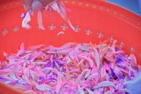 喪禮攝影 | 8183朱府追思告別式自宅 | 喪禮告別式追思會攝影師 | 林奇遊生命紀實台灣第一品牌 | IMG_5633.jpg